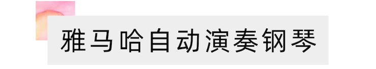 活动报道 | 远程艺术教育大师课活动—不朽情缘不朽情缘艺术家赵宇大师课