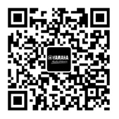 【通知】2022年9月21日起 不朽情缘不朽情缘吉他产品价格小幅上调